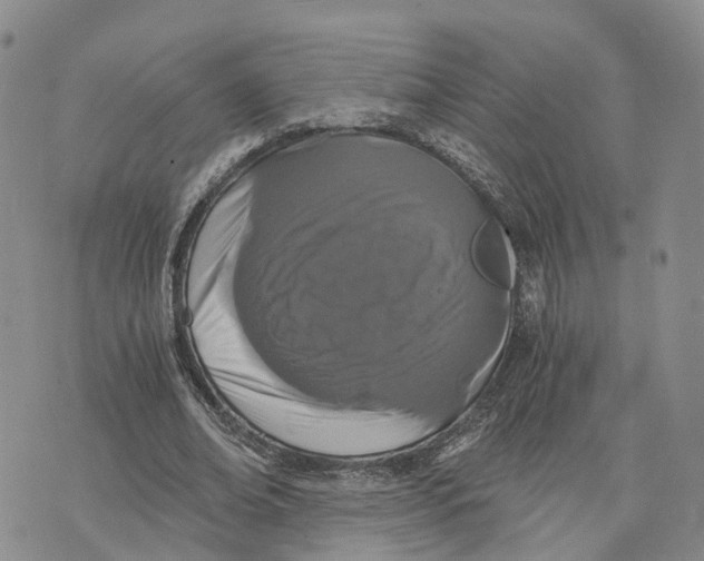 X0000073700678200608311730