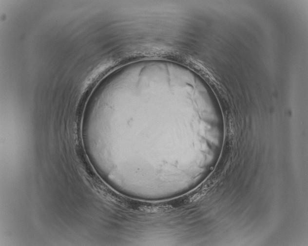 X0000073700679200608311730