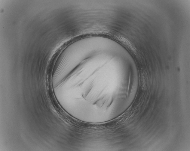 X0000073700680200608311730