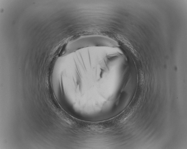 X0000073700681200608311730