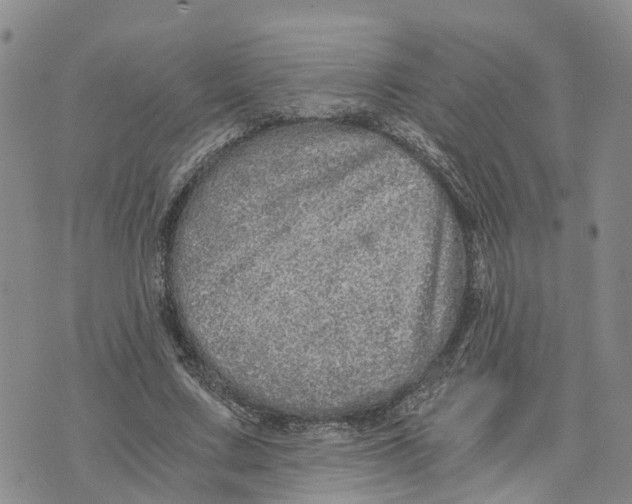 X0000073700683200608311730