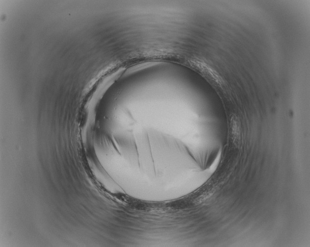 X0000073700684200608311730