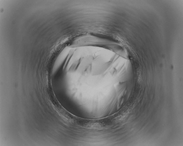 X0000073700685200608311730