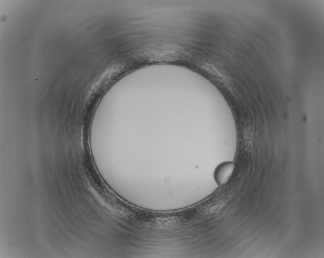 X0000073700686200608311730