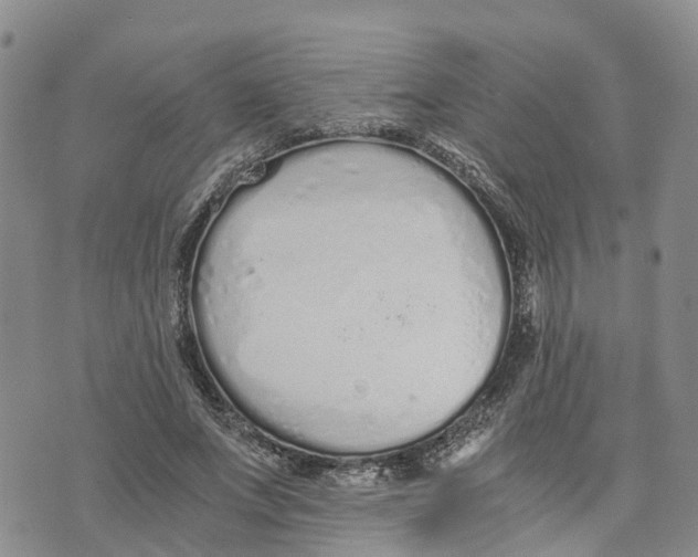 X0000073700687200608311730