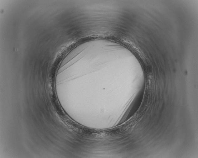 X0000073700688200608311730