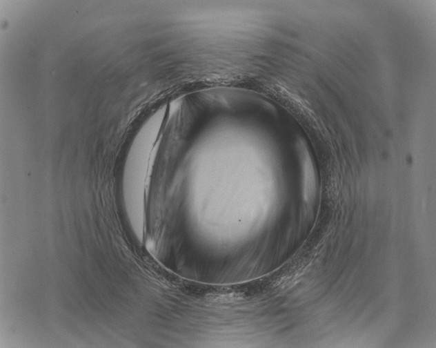 X0000073700689200608311730