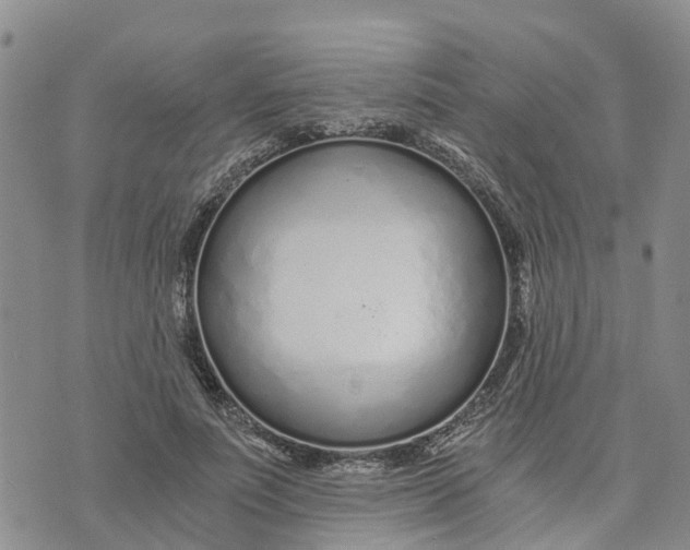 X0000073700691200608311730