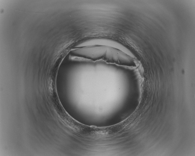 X0000073700692200608311730