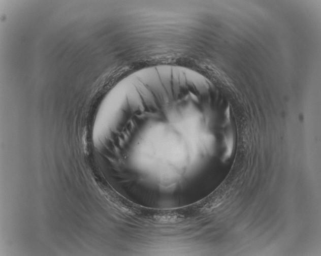 X0000073700693200608311730