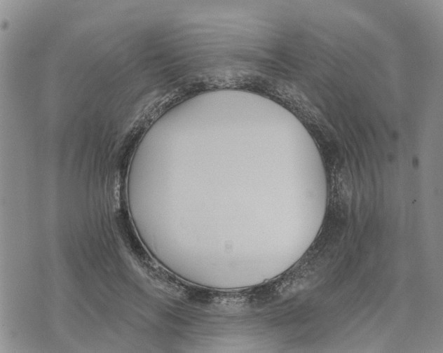 X0000073700694200608311730