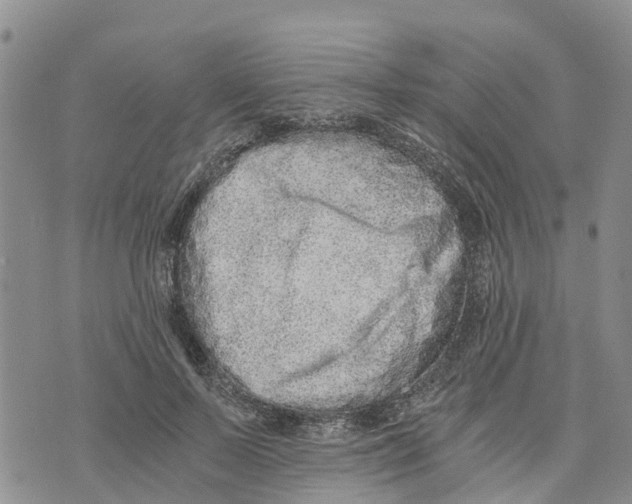 X0000073700695200608311730