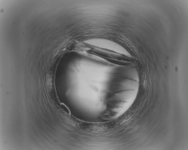 X0000073700697200608311730