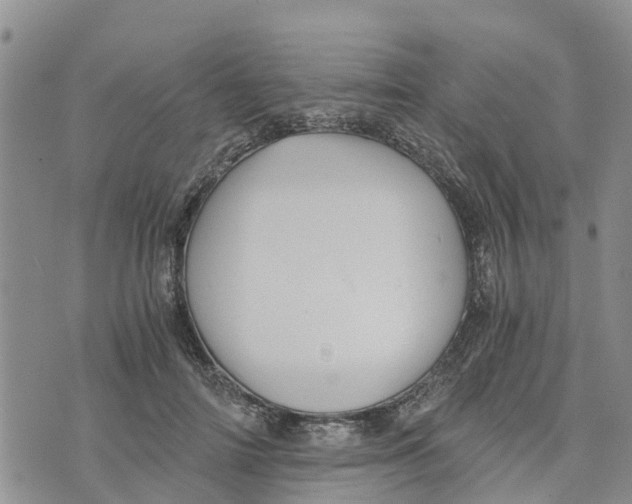 X0000073700698200608311730