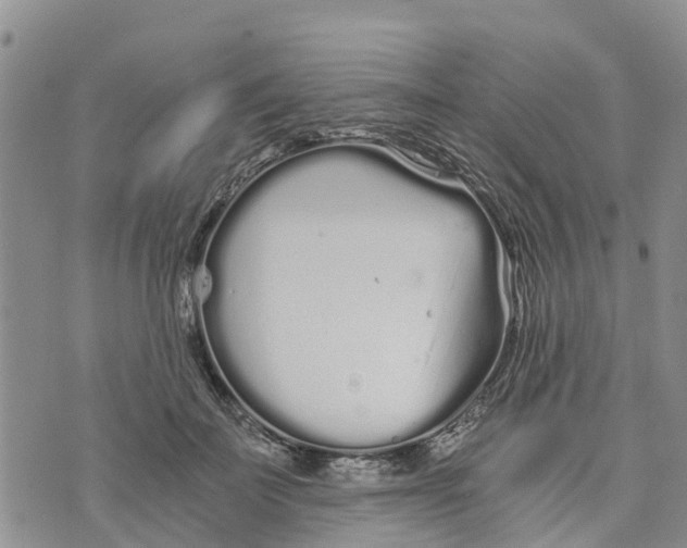 X0000073700699200608311730