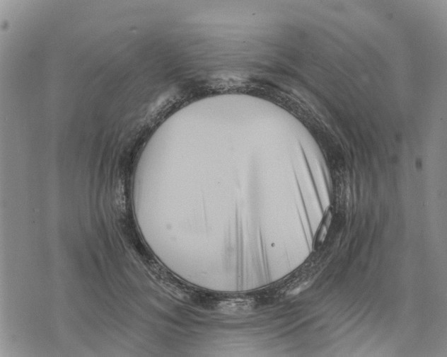 X0000073700700200608311730