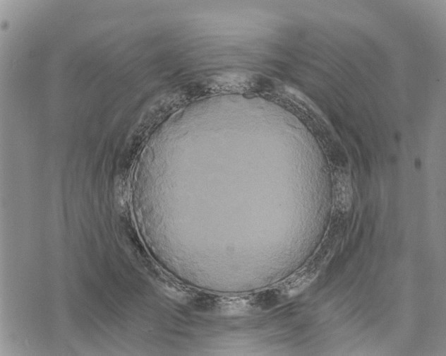 X0000073700701200608311730