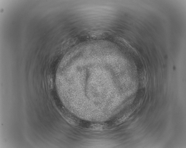 X0000073700703200608311730