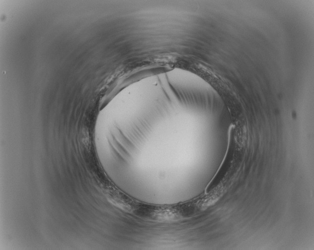 X0000073700704200608311730