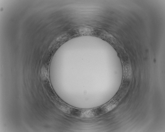 X0000073700705200608311730