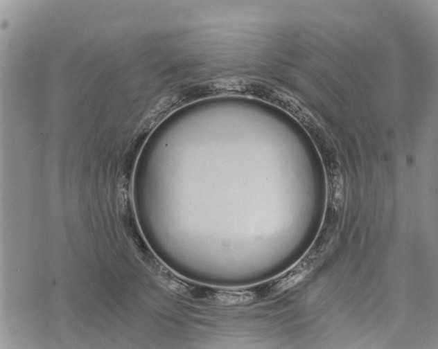 X0000073700707200608311730