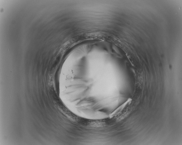 X0000073700708200608311730