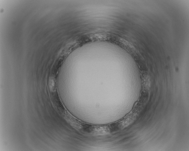 X0000073700709200608311730