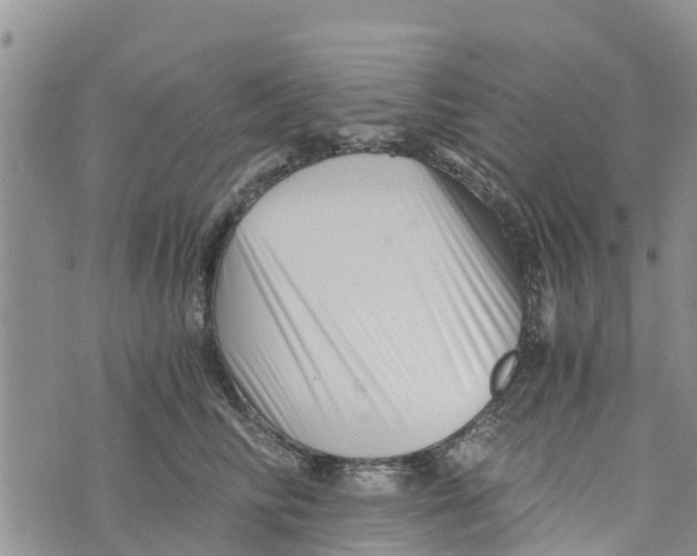 X0000073700710200608311730