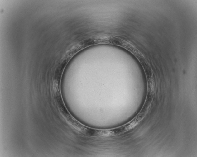 X0000073700711200608311730