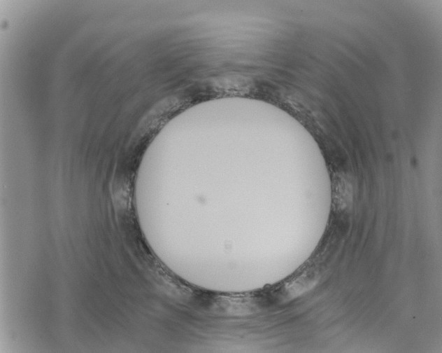 X0000073700713200608311730