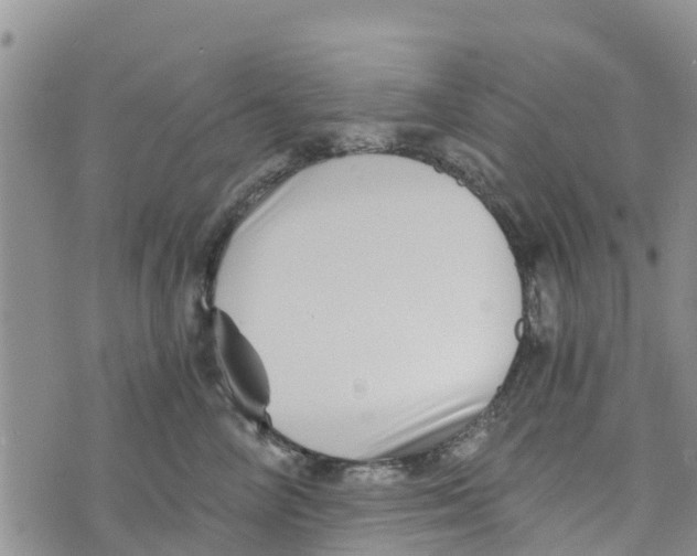 X0000073700714200608311730