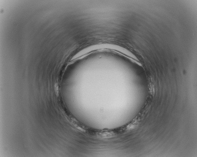 X0000073700716200608311730