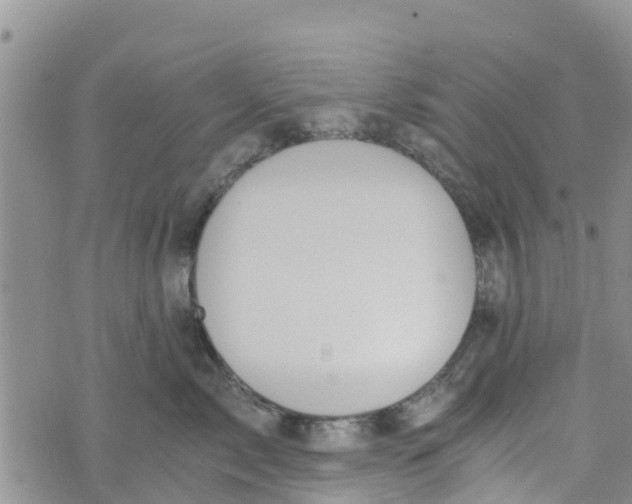 X0000073700717200608311730