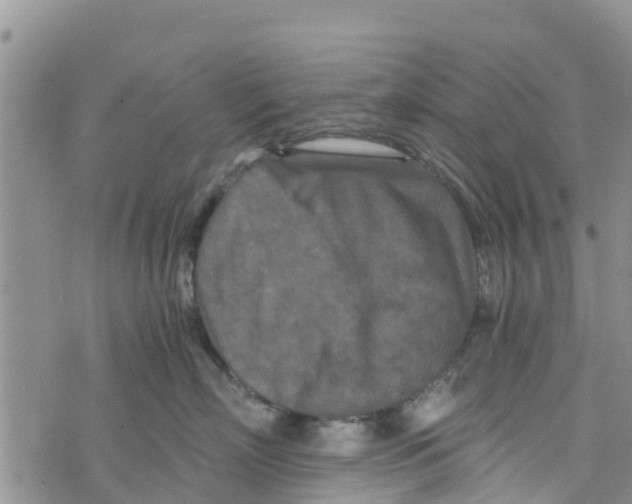 X0000073700718200608311730