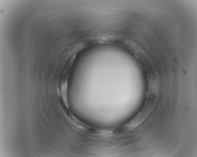 X0000073700719200608311730