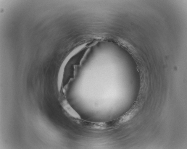 X0000073700720200608311730