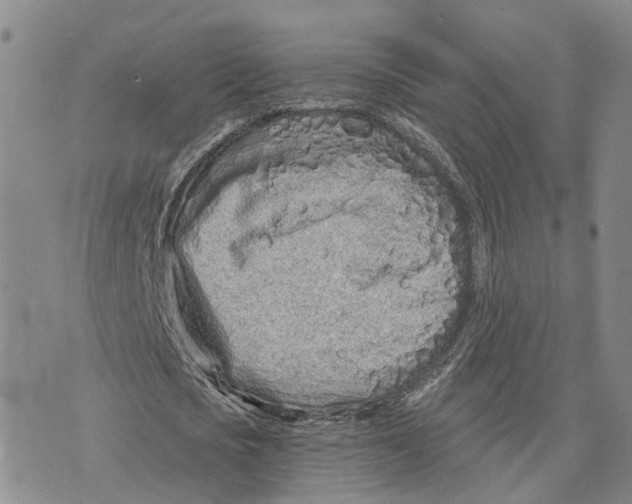 X0000073700721200608311729