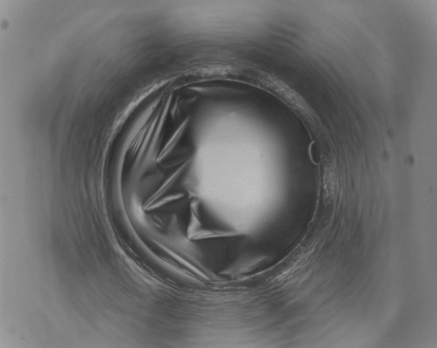 X0000073700722200608311729