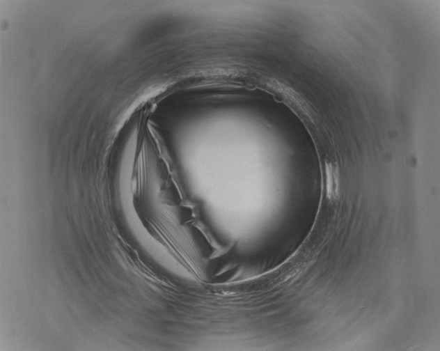 X0000073700723200608311729