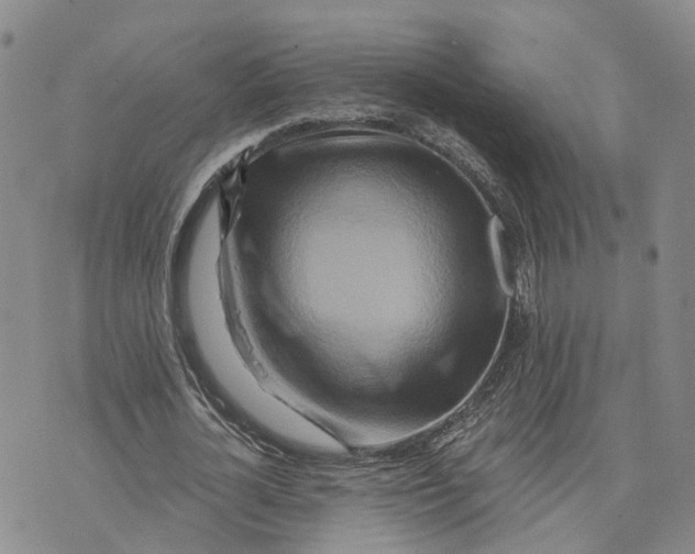 X0000073700724200608311729