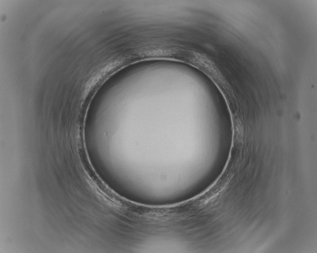 X0000073700725200608311729