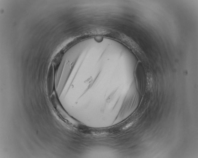 X0000073700726200608311729