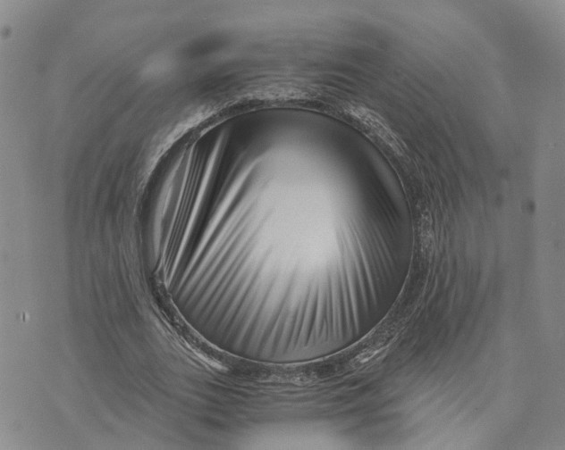 X0000073700727200608311729