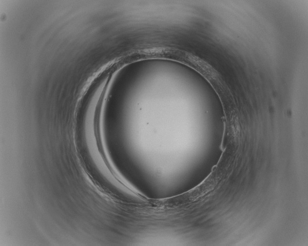 X0000073700728200608311729