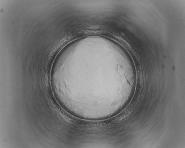 X0000073700729200608311729