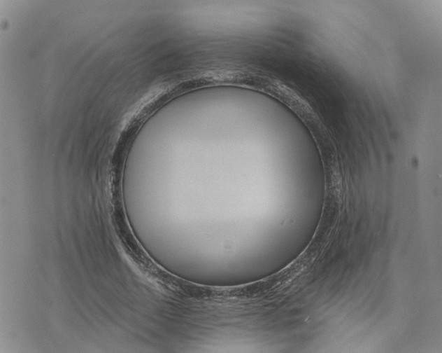 X0000073700730200608311729