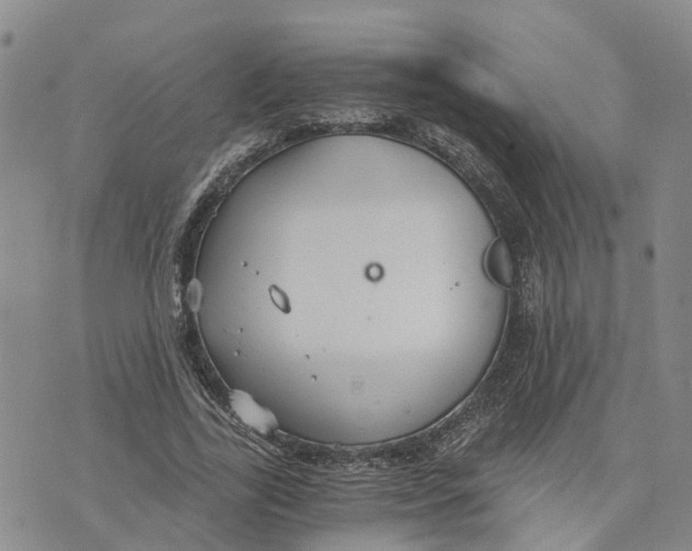 X0000073700731200608311729