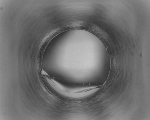 X0000073700732200608311729