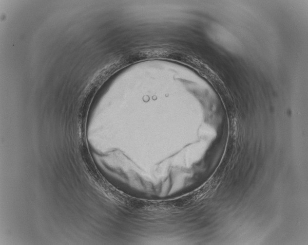 X0000073700733200608311729