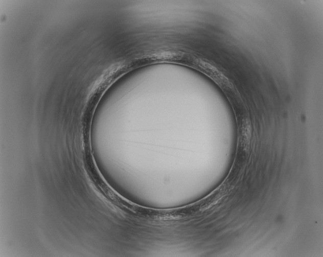 X0000073700734200608311729